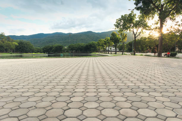 Best Permeable Paver Driveway  in Reeds Spring, MO