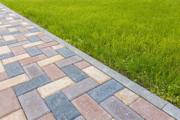 Best Driveway Paving Contractor  in Reeds Spring, MO